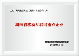湖南省移动互联网重点企业